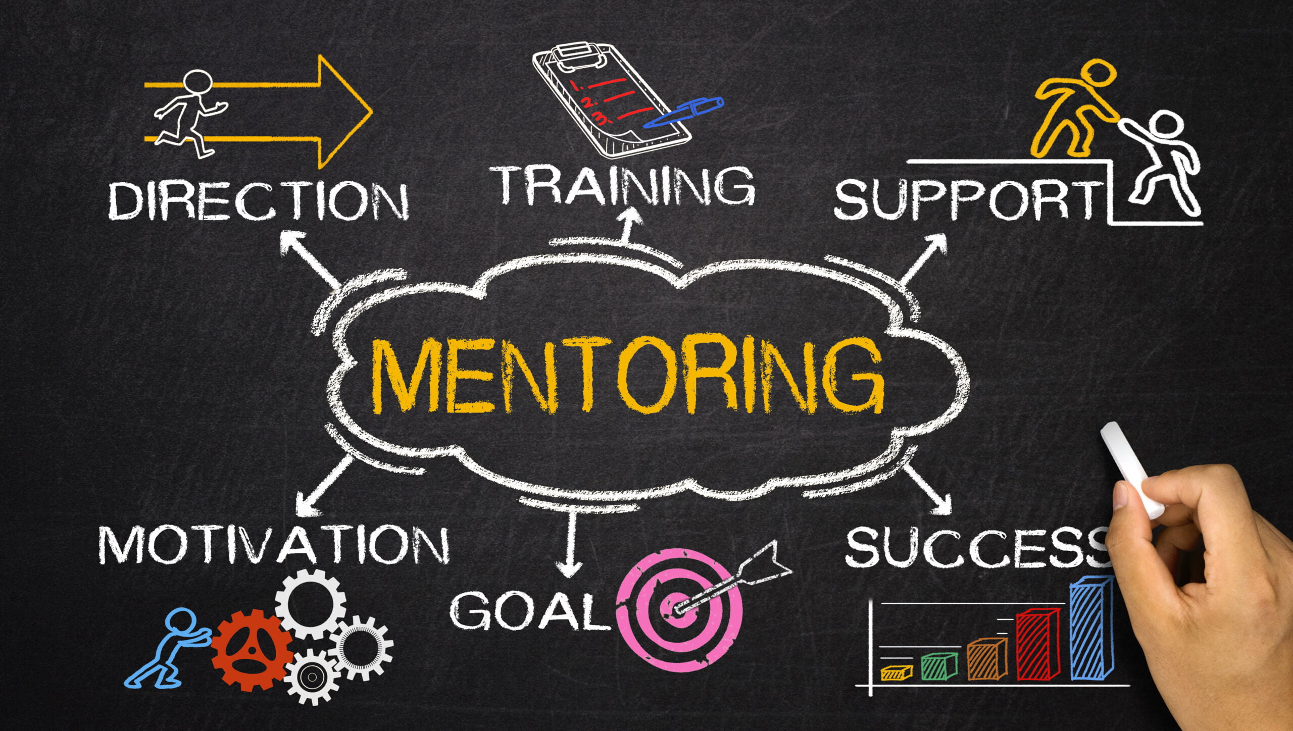 Skilling & Mentoring