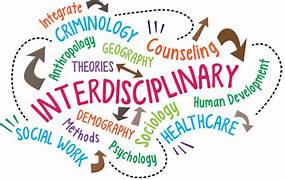Interdisciplinary Thinking